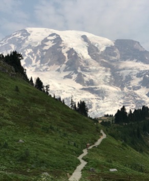 Mt Rainier from Alta Vista trail